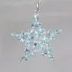 Star - Earrings Néréides - 2